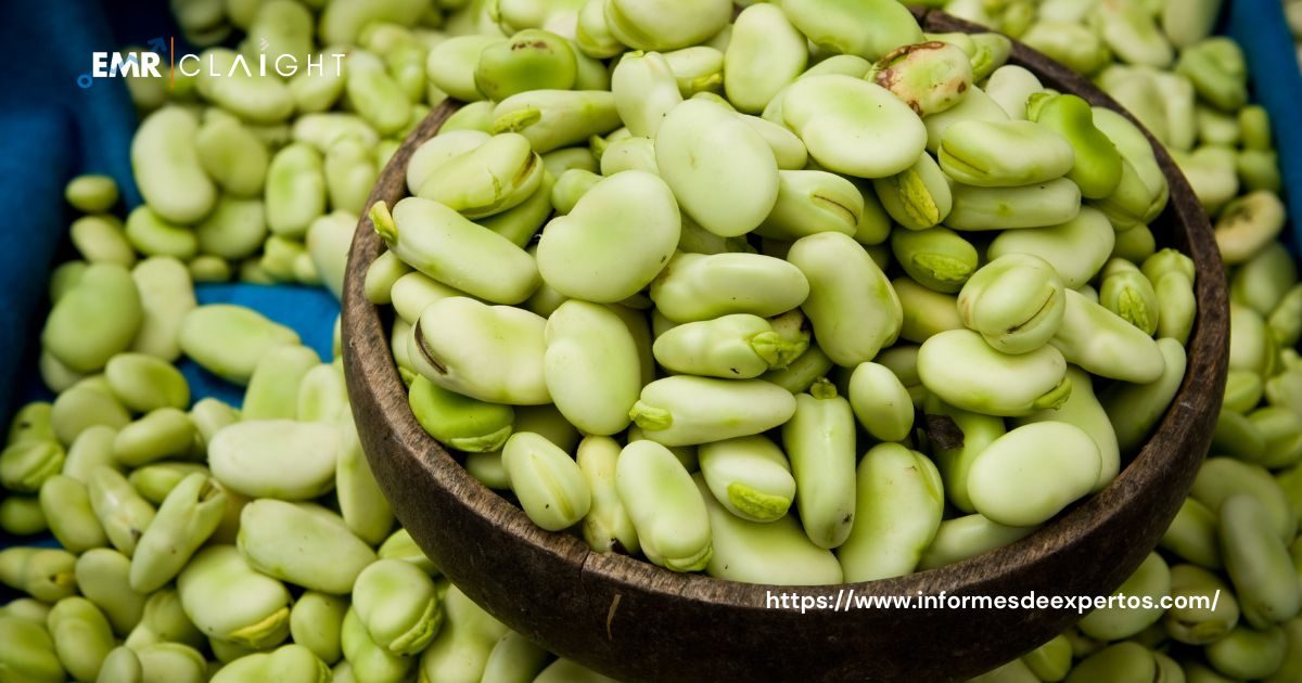 Global Fava Beans Market