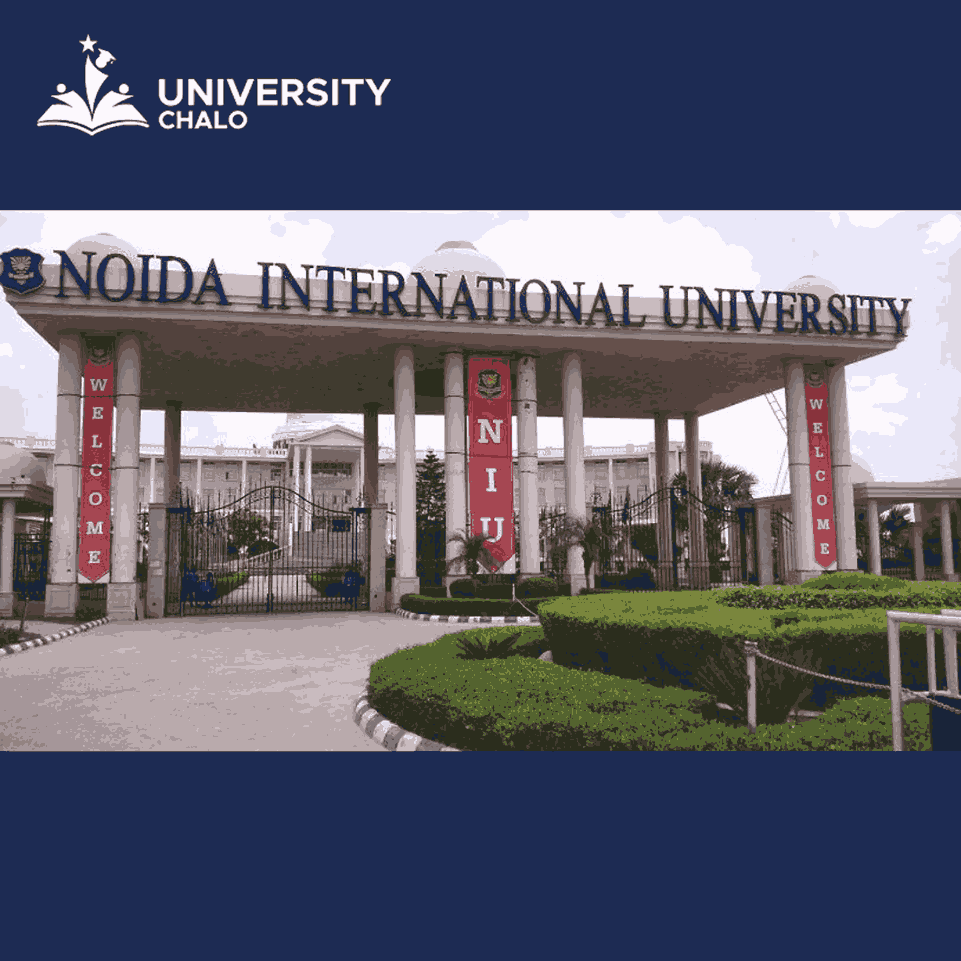 Noida International University: A Globally Recognized Educational Institution