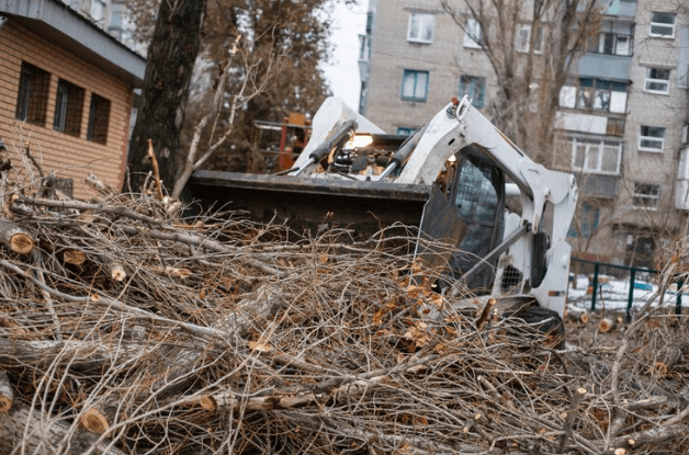 How-to-Handle-Fallen-Trees-and-Storm-Debris-on-Your-Property