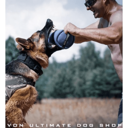 Protective Dog Armour and Essential Training Tools Every Handler Should Own