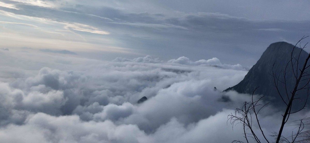 Kolukkumalai: A Scenic Journey to the World’s Highest Tea Plantation