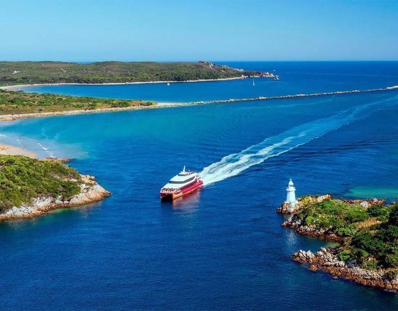 Wild Wonders Afloat: Wildlife Encounters on Tasmania’s Gordon River Cruises