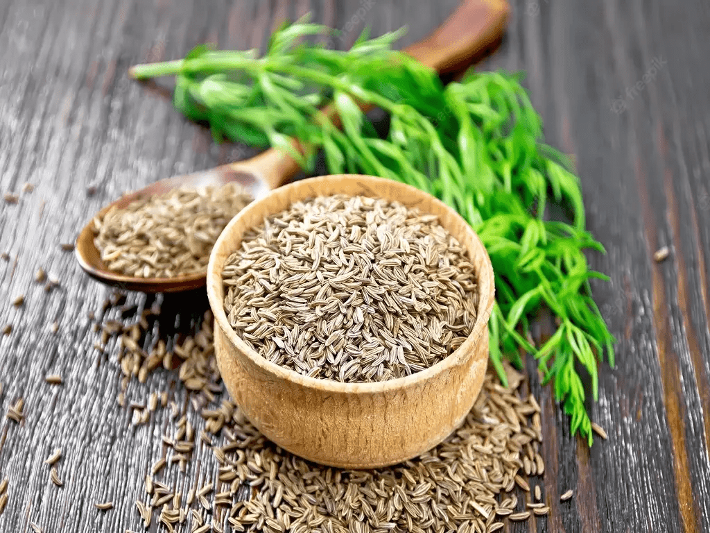 Cumin Farming in India: Exploring its Farming Processes